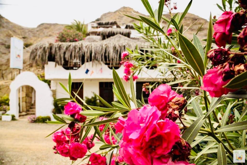 Hotel Smiling Crab Canoas de Punta Sal Exterior photo