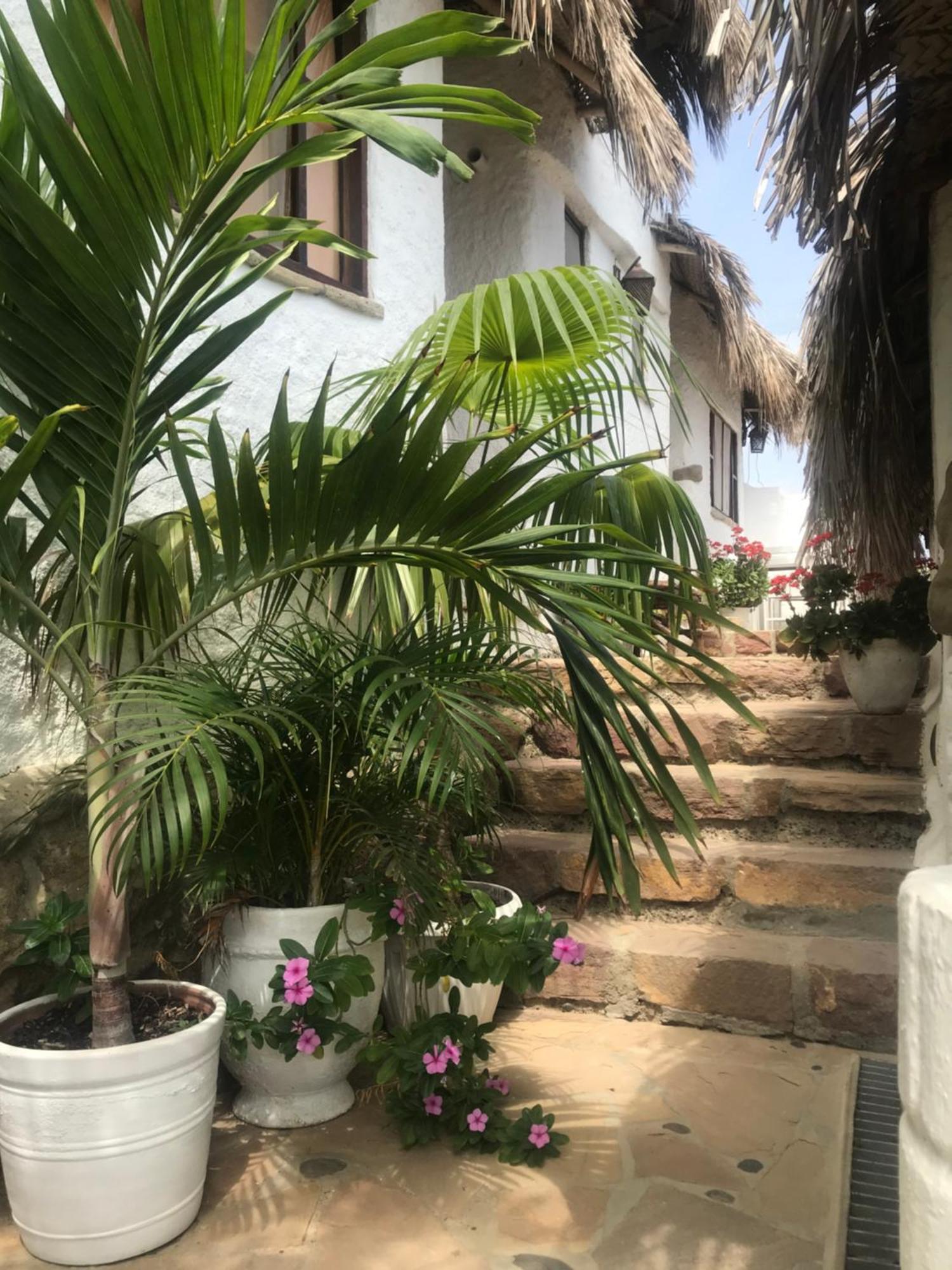 Hotel Smiling Crab Canoas de Punta Sal Exterior photo