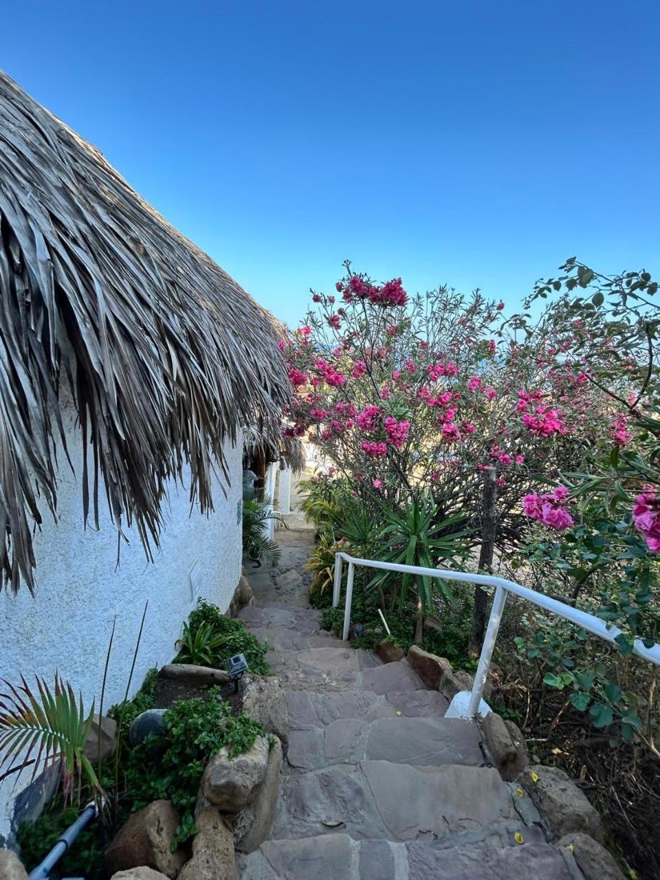 Hotel Smiling Crab Canoas de Punta Sal Exterior photo
